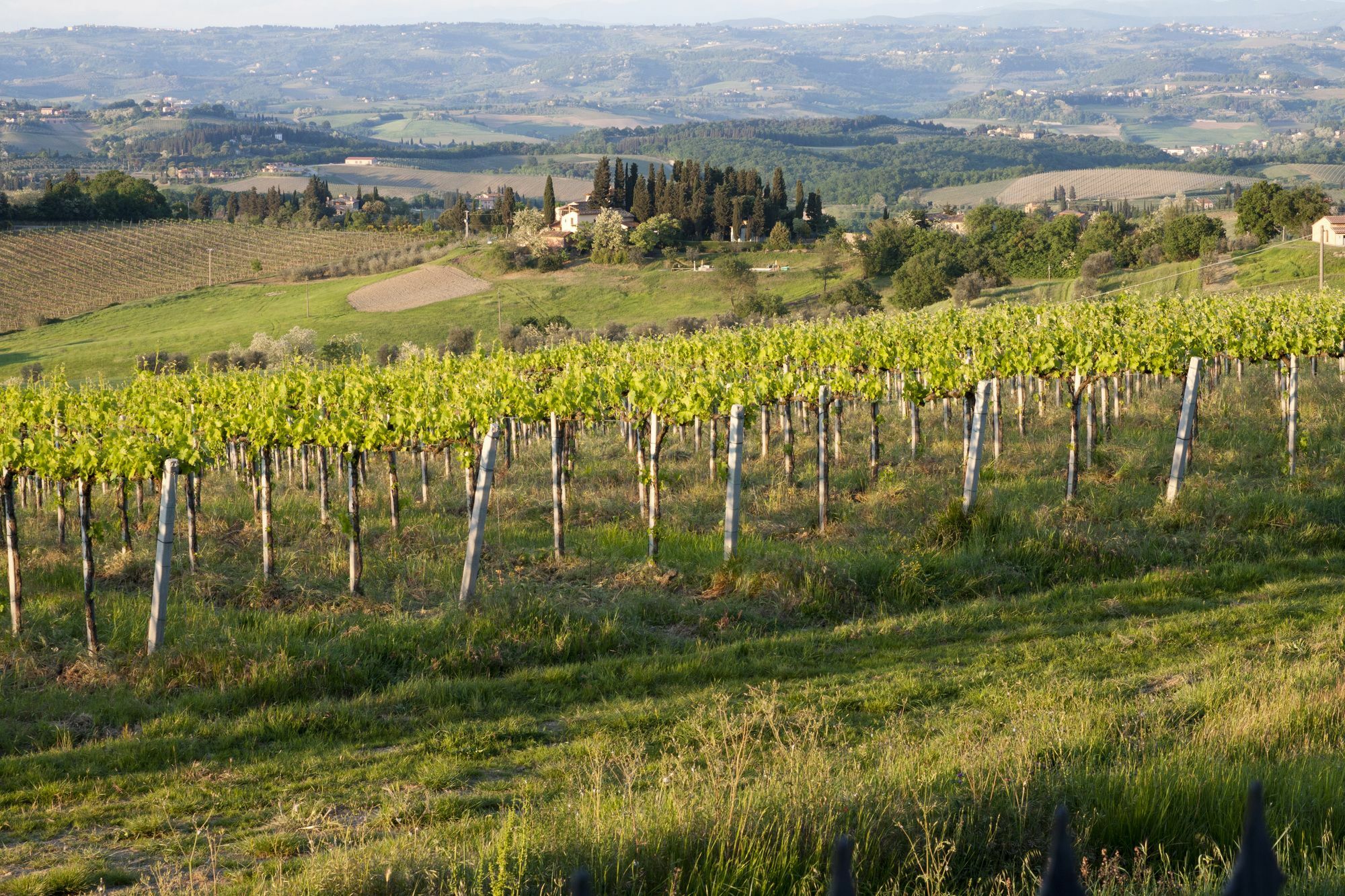 Villa Ducci San Gimignano Exteriér fotografie