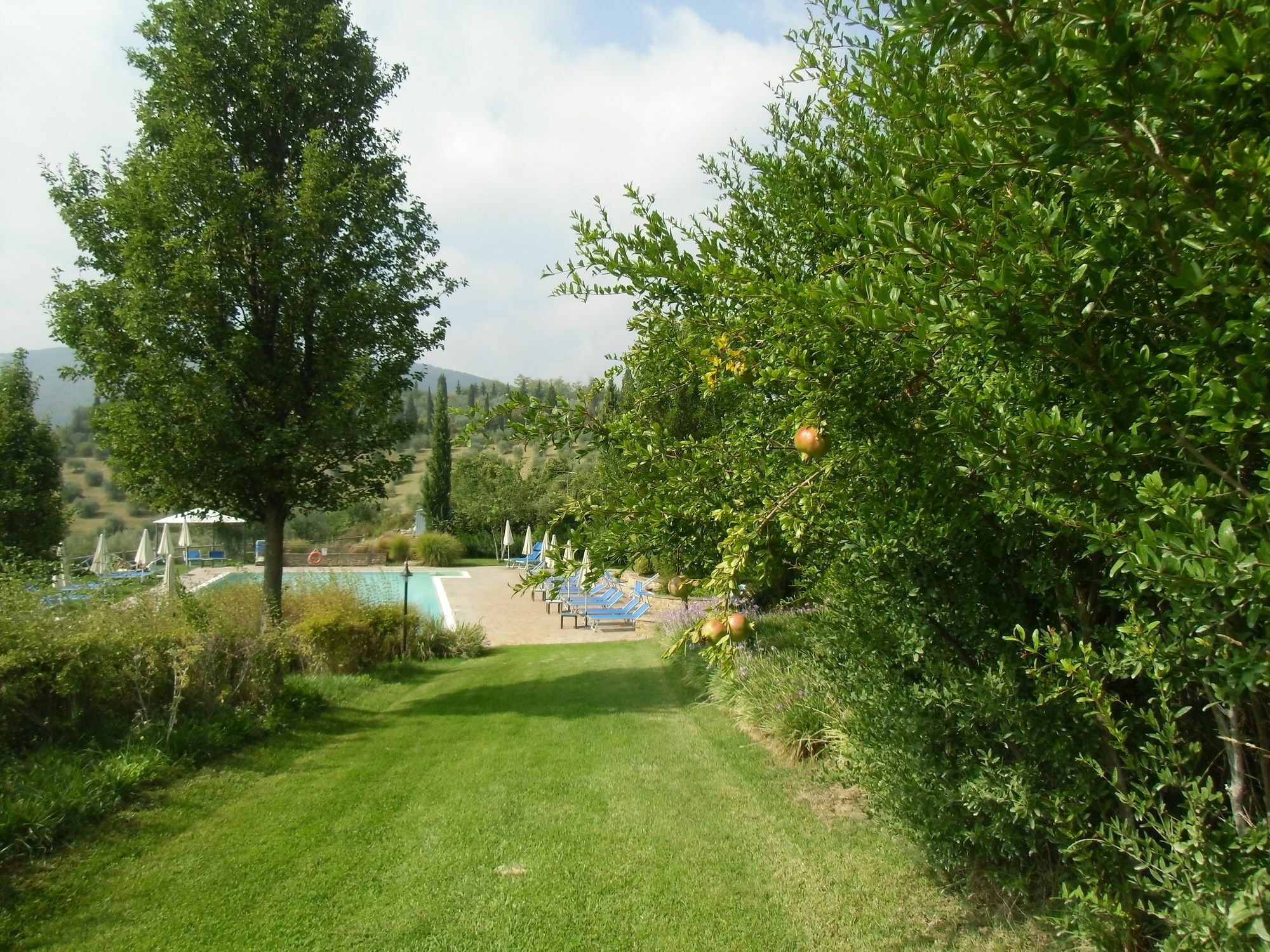 Villa Ducci San Gimignano Exteriér fotografie
