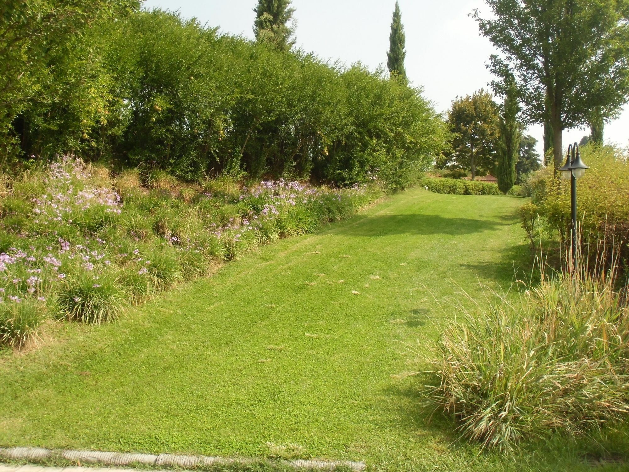 Villa Ducci San Gimignano Exteriér fotografie